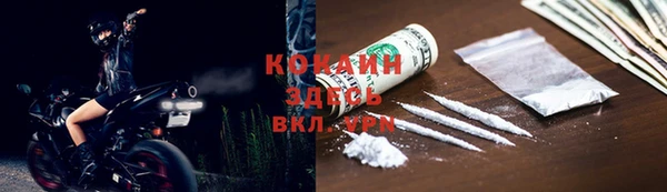 дмт Мегион