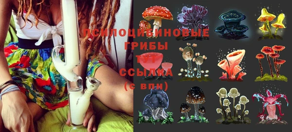 дмт Мегион