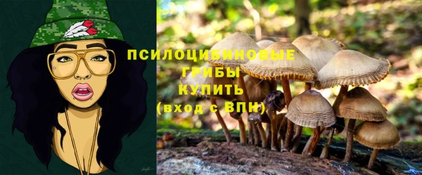 spice Абинск