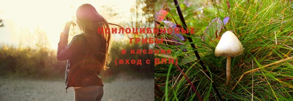 МДПВ Абаза
