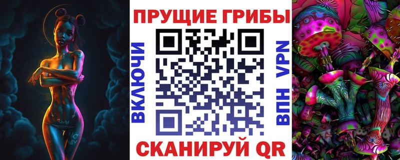Псилоцибиновые грибы Psilocybe  Хабаровск 